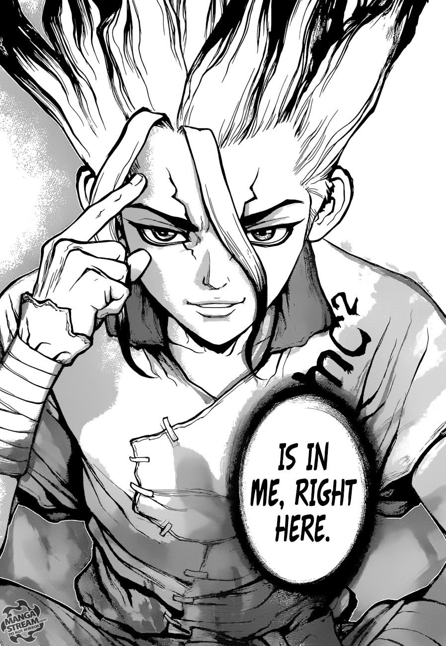 Dr. Stone Chapter 19 17